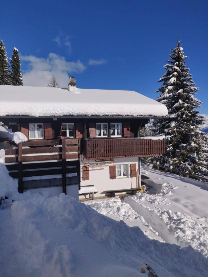 Chalet Grazia Riederalp Ngoại thất bức ảnh